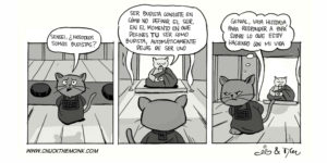 2015-001-es-budistas-chuck-the-monk
