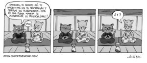 2015-006-es-paciencia-chuck-the-monk