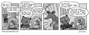 2016.024.Wheel.Chuck the Monk