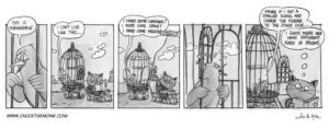 2016-042-unbearable-chuck-the-monk